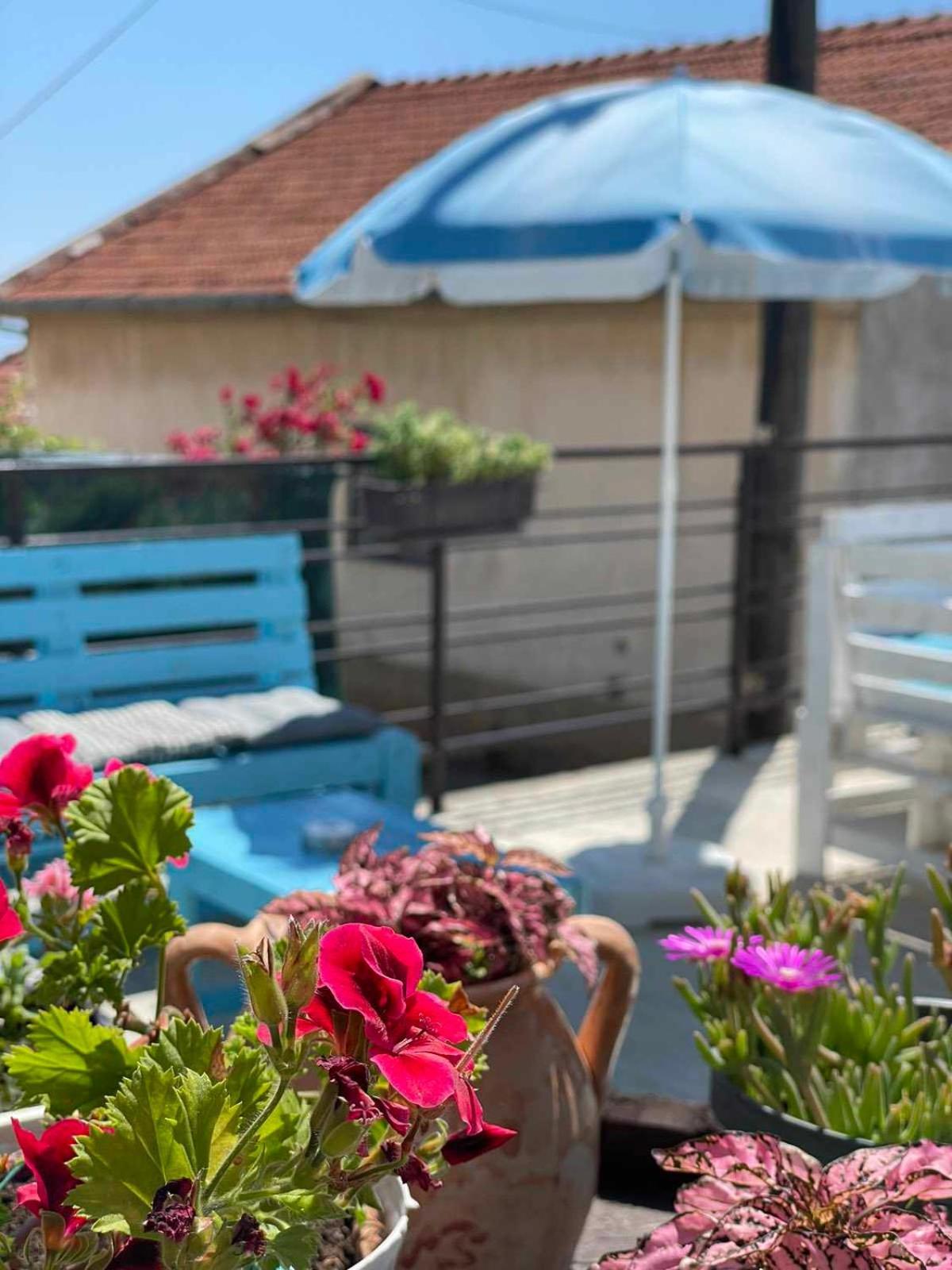 Gopo Guesthouse Elshani Exterior photo